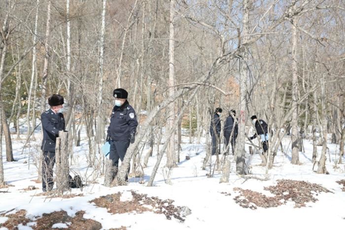 吉林敬信湿地迎来北归候鸟群 吉林敬信湿地迎来北归候鸟群