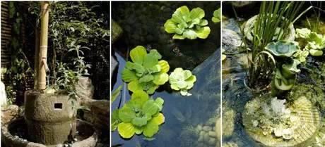 私家庭院越来越成为一种生活品味的展现