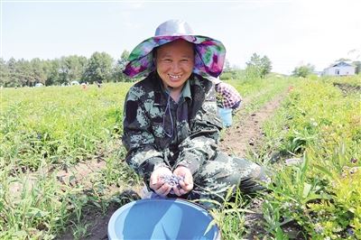 大力发展特色林业产业 走出一条绿富双赢之路 大力发展特色林业产业 走出一条绿富双赢之路