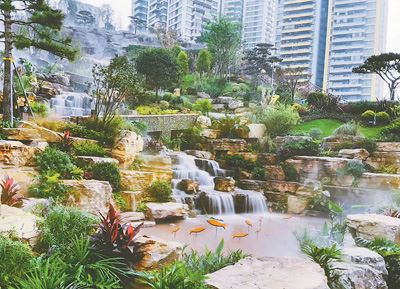 我国大规模国土绿化行动不断推进