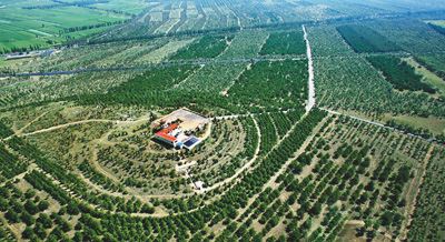 我国大规模国土绿化行动不断推进