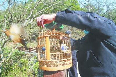 福建：保护野生动物，管住山头管住嘴