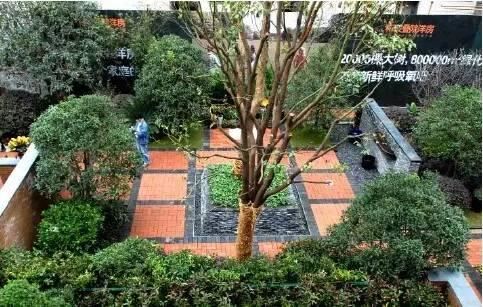 私家庭院越来越成为一种生活品味的展现