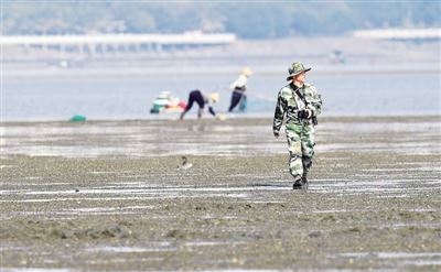 保护湿地,给野生动植物一个安稳的家 保护湿地,给野生动植物一个安稳的家