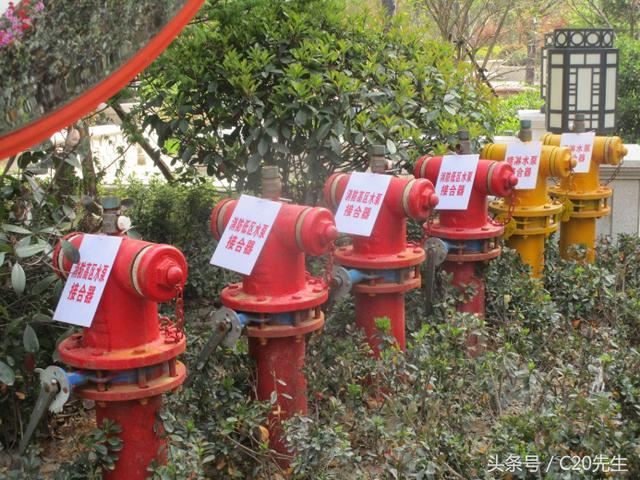 知识分享：园林绿化优秀做法