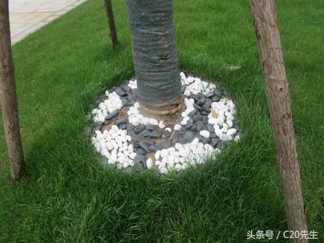 知识分享：园林绿化优秀做法