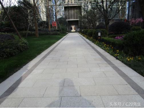 知识分享：园林绿化优秀做法