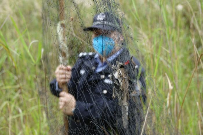 广东省林业局：绝不允许滥食乱卖野生动物！