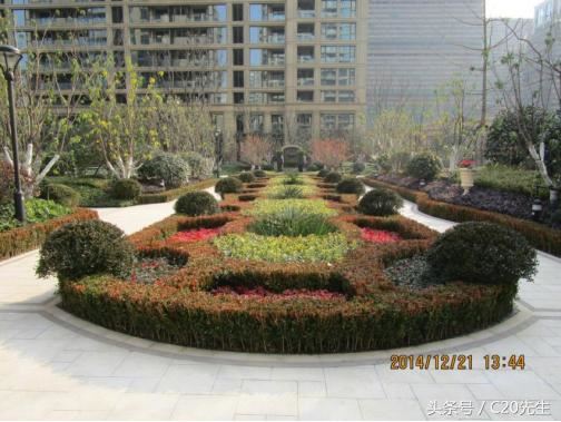 知识分享：园林绿化优秀做法