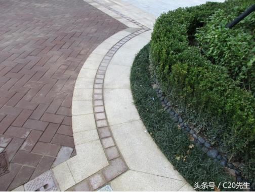 知识分享：园林绿化优秀做法