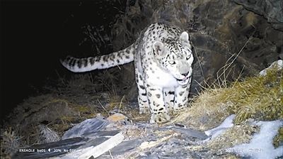 2019年中国自然保护地十件大事