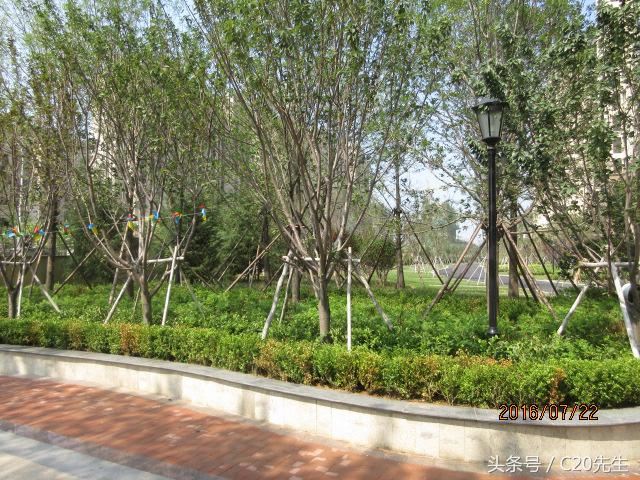 知识分享：园林绿化优秀做法