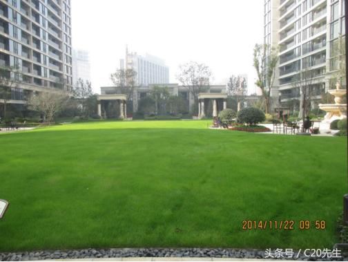 知识分享：园林绿化优秀做法