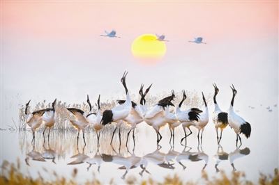 2019年中国自然保护地十件大事