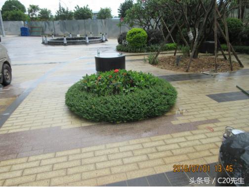 知识分享：园林绿化优秀做法