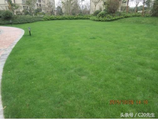 知识分享：园林绿化优秀做法