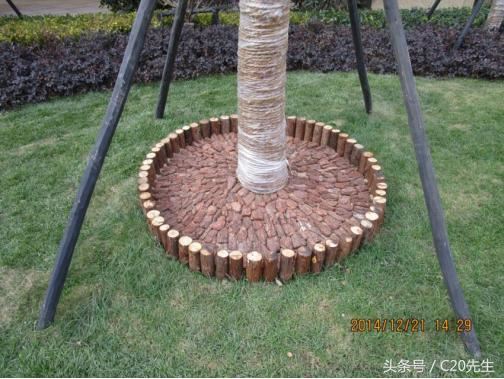 知识分享：园林绿化优秀做法