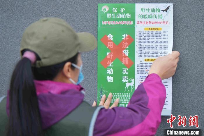 山东青岛：志愿者用行动呼吁“禁食野味　战胜疫情”