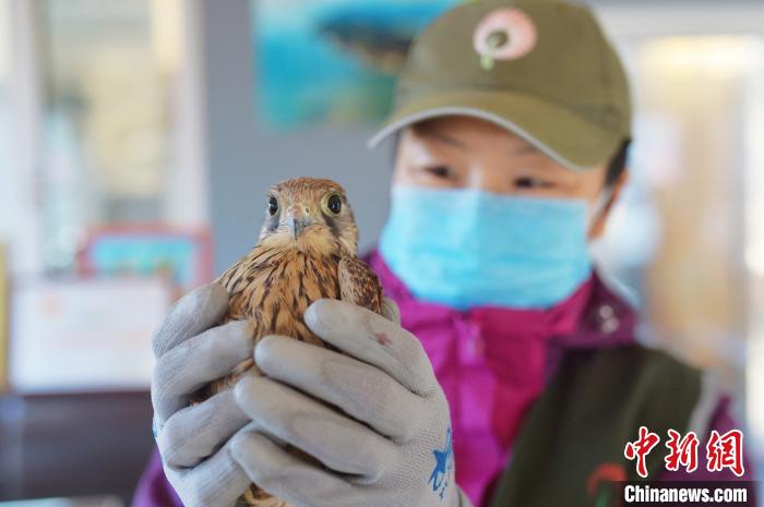 山东青岛：志愿者用行动呼吁“禁食野味　战胜疫情”