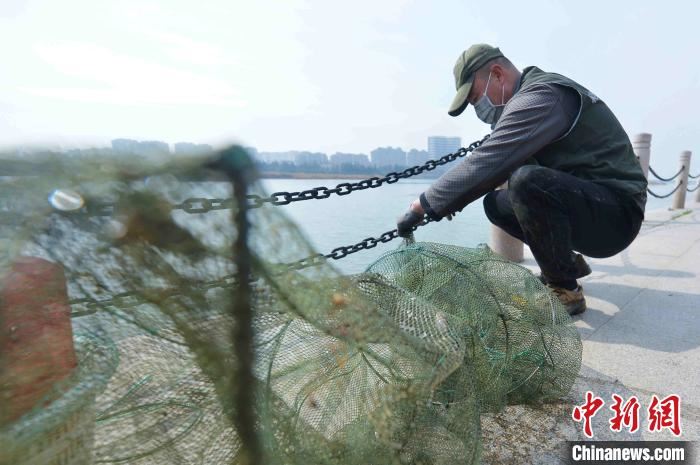 山东青岛：志愿者用行动呼吁“禁食野味　战胜疫情”
