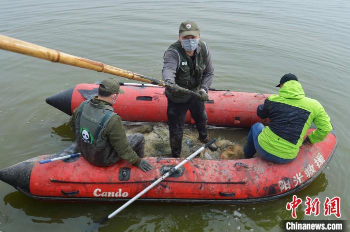 山东青岛：志愿者用行动呼吁“禁食野味　战胜疫情”