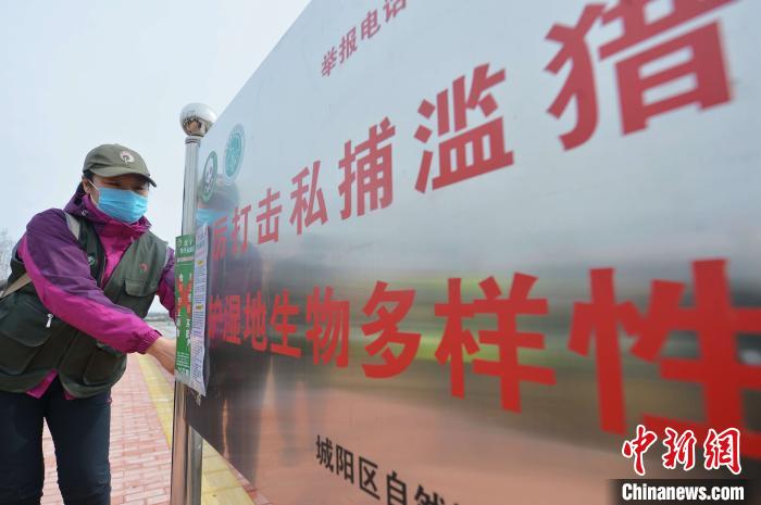 山东青岛：志愿者用行动呼吁“禁食野味　战胜疫情”