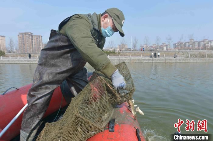 山东青岛：志愿者用行动呼吁“禁食野味　战胜疫情”
