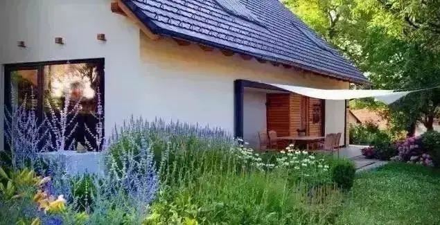 在农村可以这样设计小院