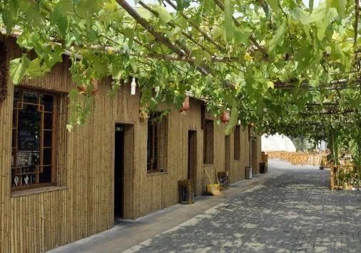 在农村可以这样设计小院