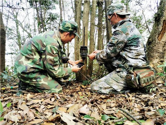 广东启动“粤野觅镜——大美保护地探秘”大型宣传 广东启动“粤野觅镜——大美保护地探秘”大型宣传