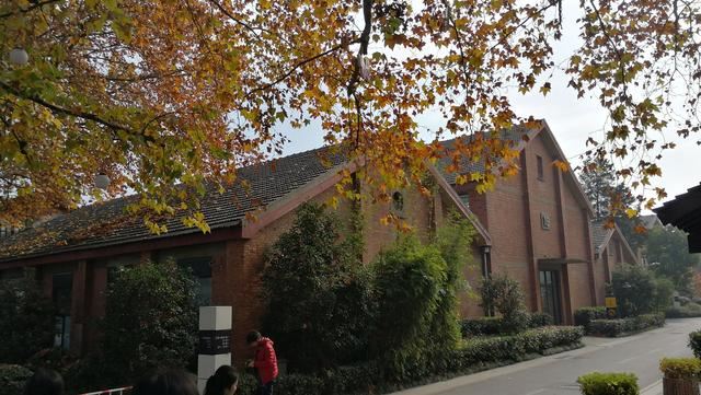 城市绿化的思路和方法 城市绿化的思路和方法