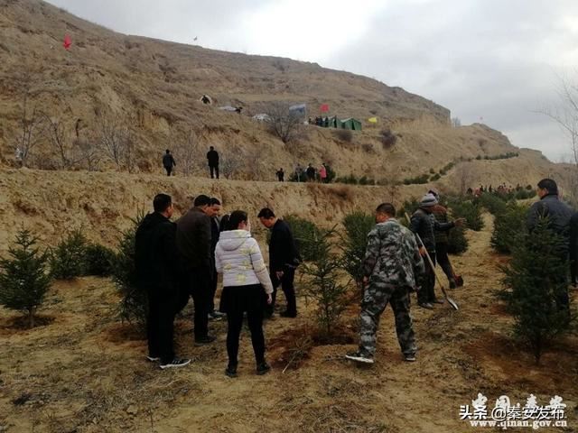 【造林绿化】图看造林绿化第一线