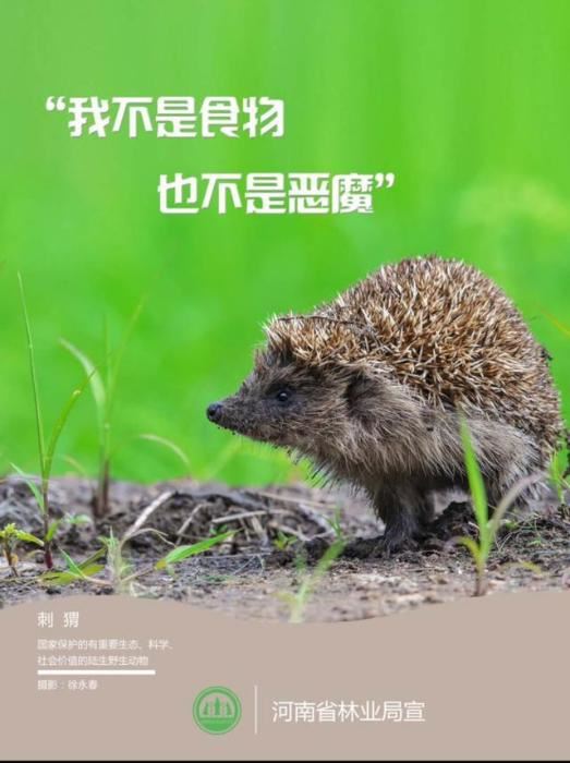 第7个世界野生动植物日　林业部门倡议拒绝野生动物当“盘中餐”和“商品”