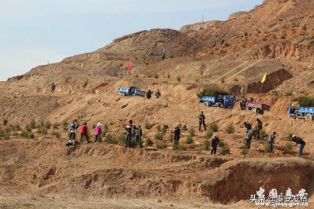 【造林绿化】图看造林绿化第一线