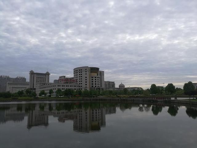 5年绿化行动方案出台 东阳市到2024年力争新增造林2万余亩