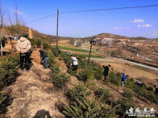 【造林绿化】图看造林绿化第一线