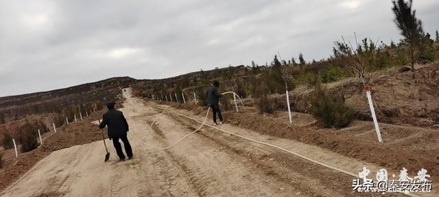 【造林绿化】图看造林绿化第一线