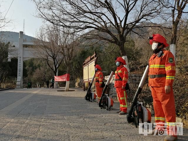 济南春季城市道路绿化美化全面展开