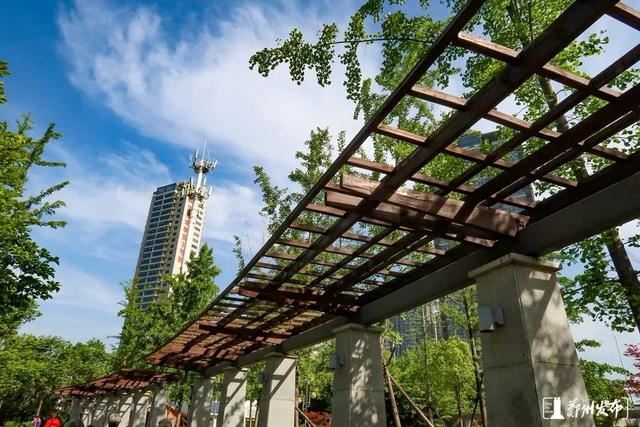 绿化正当时！郑州明确市区117条（段）道路绿化责任