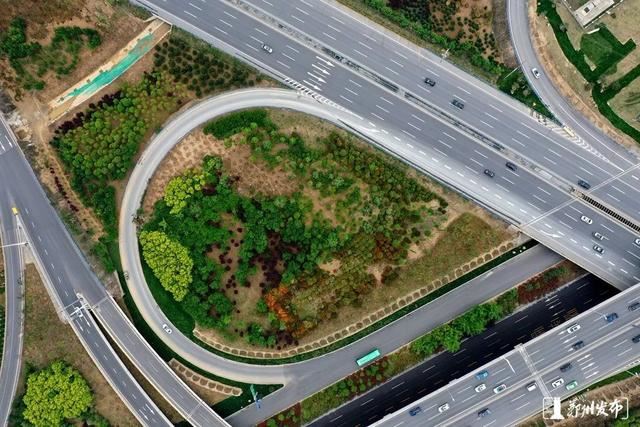 绿化正当时！郑州明确市区117条（段）道路绿化责任