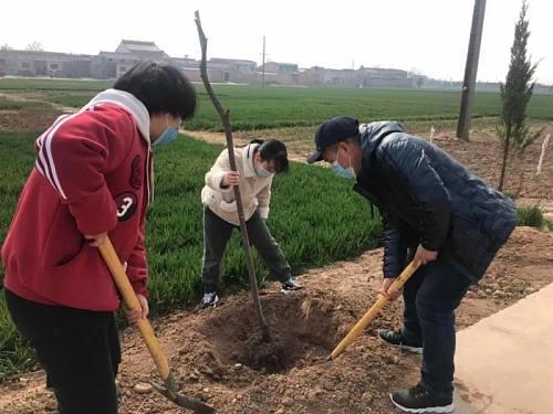 凤翔今春绿化美化“放大招”