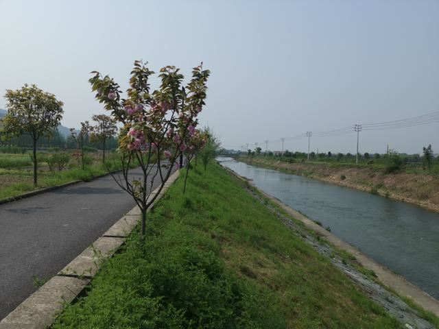 5年绿化行动方案出台 东阳市到2024年力争新增造林2万余亩