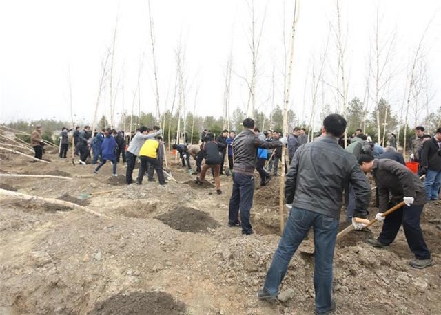 绿化行动开启！今年吉林省计划完成造林绿化140万亩