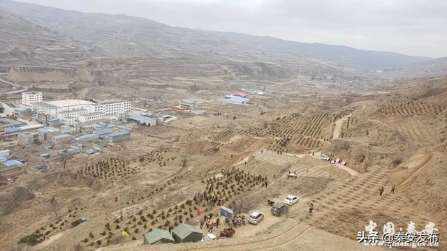 【造林绿化】图看造林绿化第一线