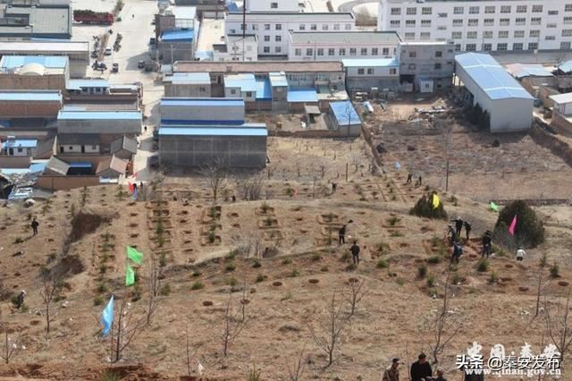 【造林绿化】图看造林绿化第一线