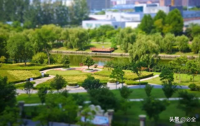 未来苗木发展的三大方向预测 未来苗木发展的三大方向预测