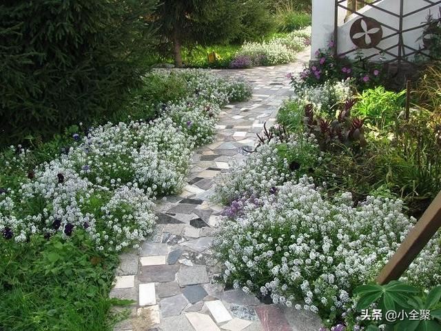 这五十款室外绿化值得学习