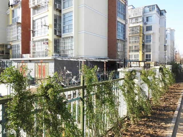 城市绿化标准（国家园林城市为例）