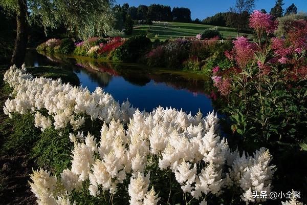 这五十款室外绿化值得学习