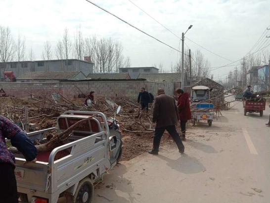 人勤春来早 绿化建设忙